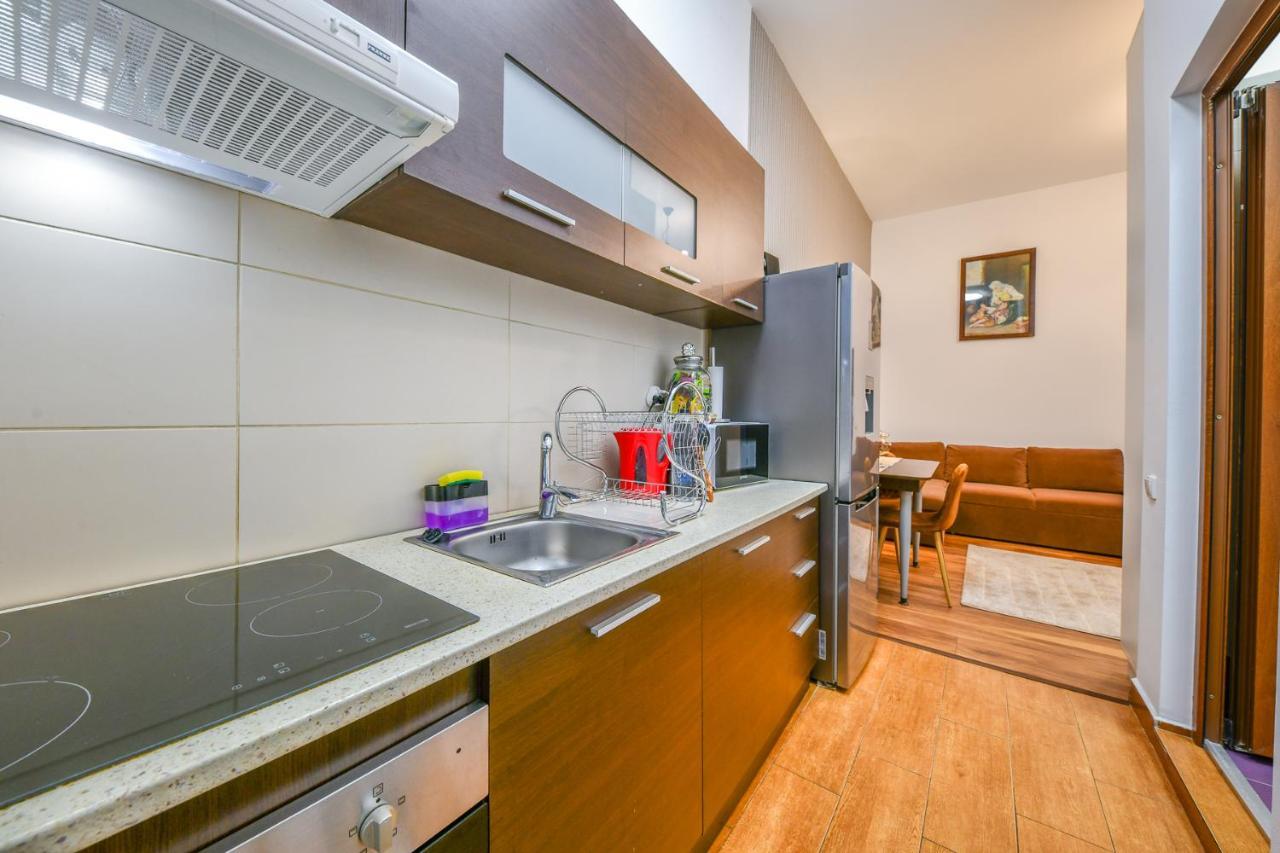 Glam Apartment Kluż-Napoka Zewnętrze zdjęcie